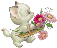 cat009.gif (22175 Byte)