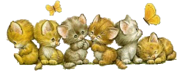 cat010.gif (29334 Byte)