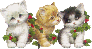 cat011.gif (33706 Byte)