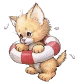 cat015.gif (11842 Byte)