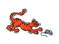 cat016.jpg (3702 Byte)