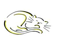 cat018.jpg (3478 Byte)