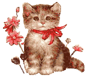 cat021.gif (8282 Byte)