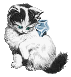 cat022.gif (7972 Byte)