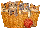 cat026.gif (12343 Byte)