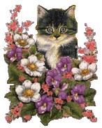 cat027.gif (14949 Byte)