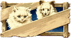 cat028.gif (13371 Byte)