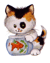 cat033.gif (20831 Byte)