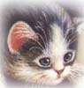 cat033.jpg (2165 Byte)