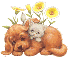 cat038.gif (25512 Byte)