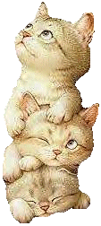 cat040.gif (22554 Byte)