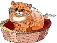 cat041.jpg (3597 Byte)