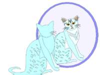 cat042.jpg (3528 Byte)