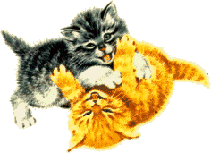 cat047.gif (13954 Byte)