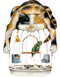 cat048.gif (31021 Byte)