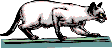 cat057.gif (4650 Byte)