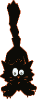 cat086.gif (2031 Byte)