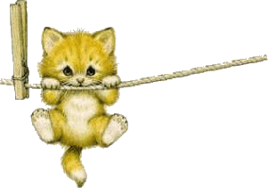 cat088.gif (18482 Byte)