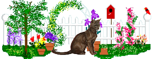 cat090.gif (37651 Byte)