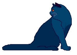 cat103.gif (3391 Byte)