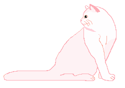 cat104.gif (1738 Byte)