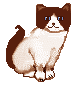 cat106.gif (2033 Byte)