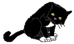 cat111.gif (1019 Byte)