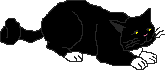 cat112.gif (946 Byte)