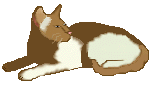 cat118.gif (3833 Byte)