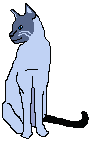 cat119.gif (982 Byte)