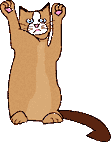 cat123.gif (3693 Byte)
