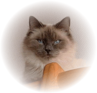 Von hier oben habe ich den �berblick